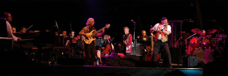 La dulce armonía del rock: el prog folk