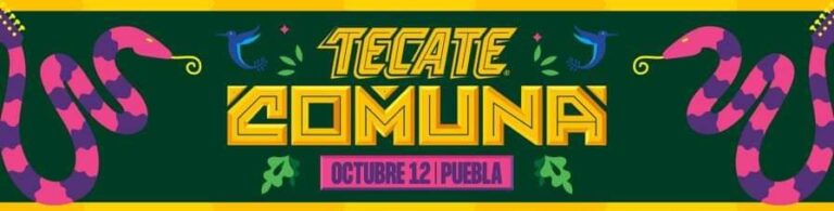 ¡Puebla a la vista!