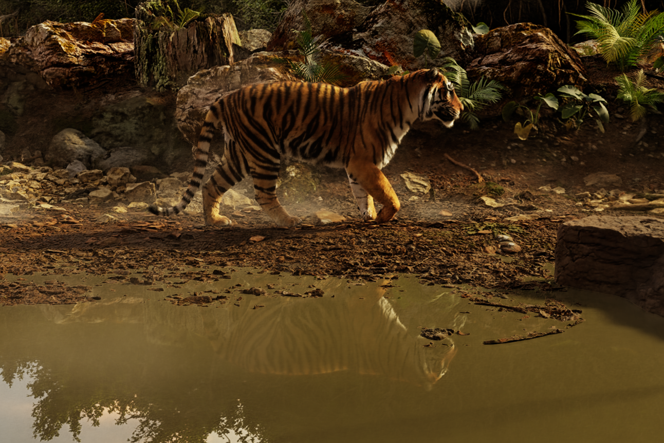 Tiger1